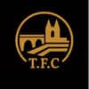 Logo TERRASSON FC