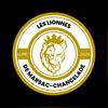 Logo LIONNES LIMENS JSA